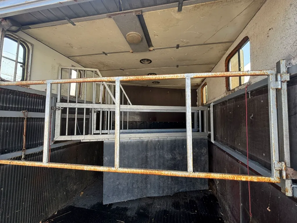 WhatsApp Image 2026-03-05 at 14.00.15.webp