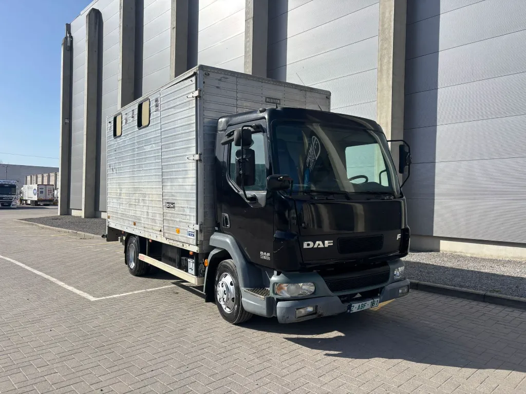 WhatsApp Image 2026-03-05 at 14.00.18.webp