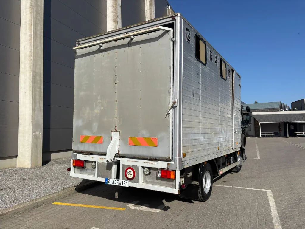 WhatsApp Image 2026-03-05 at 14.00.17 (1).webp