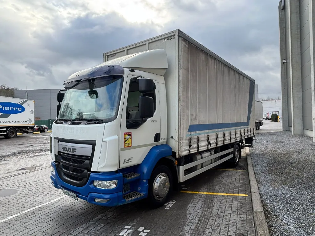 WhatsApp Image 2026-02-12 at 14.19.45.webp